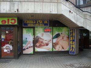 Halia prostitutes in Watertown Town MA